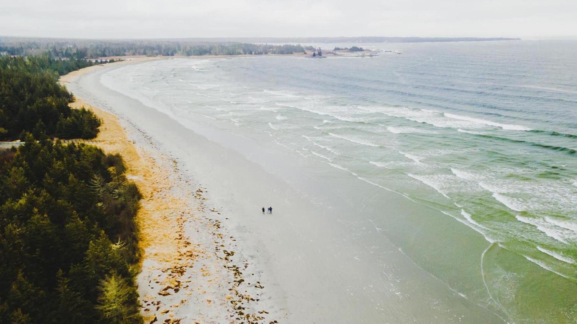 Blissful Oceanfront Cottage In Port Mouton Екстериор снимка